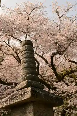 掌禅寺(愛媛県)