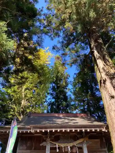 鹿島神社(茨城県)