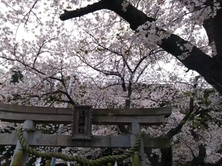 津久井浅間神社(神奈川県)