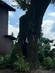 手力雄神社(岐阜県)