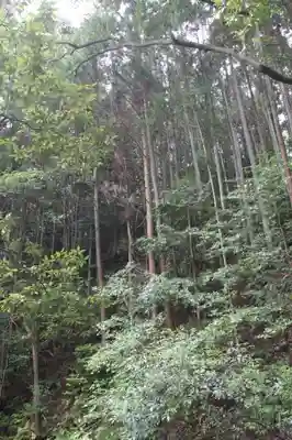 南陽院(奈良県)