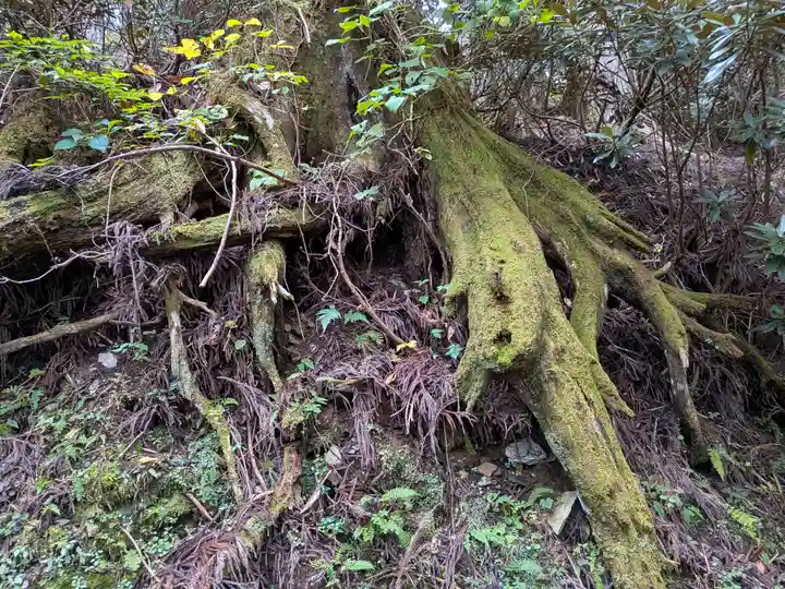 三峯神社(埼玉県)