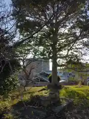 住吉神社(兵庫県)