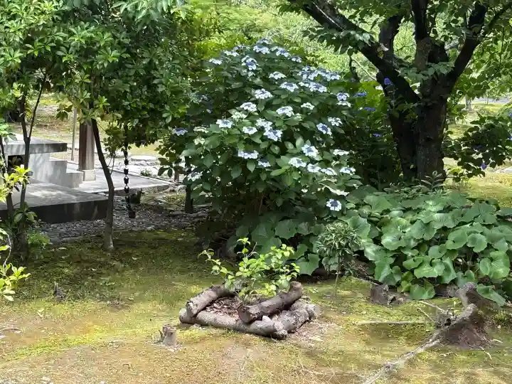 勧修寺(京都府)