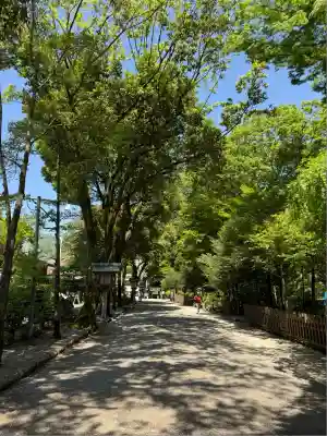 天岩戸神社(宮崎県)