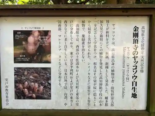 金剛頂寺(高知県)