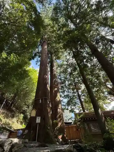 丹生川上神社（中社）(奈良県)