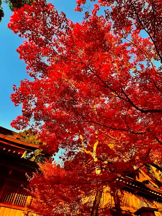 宝満宮竈門神社(福岡県)