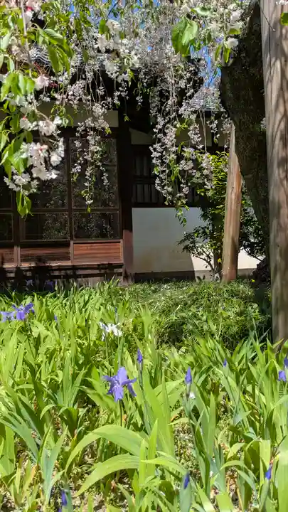 得浄明院(善光寺別院)(京都府)