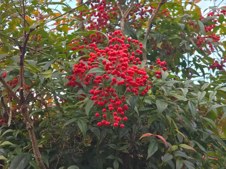 神明社(京都府)