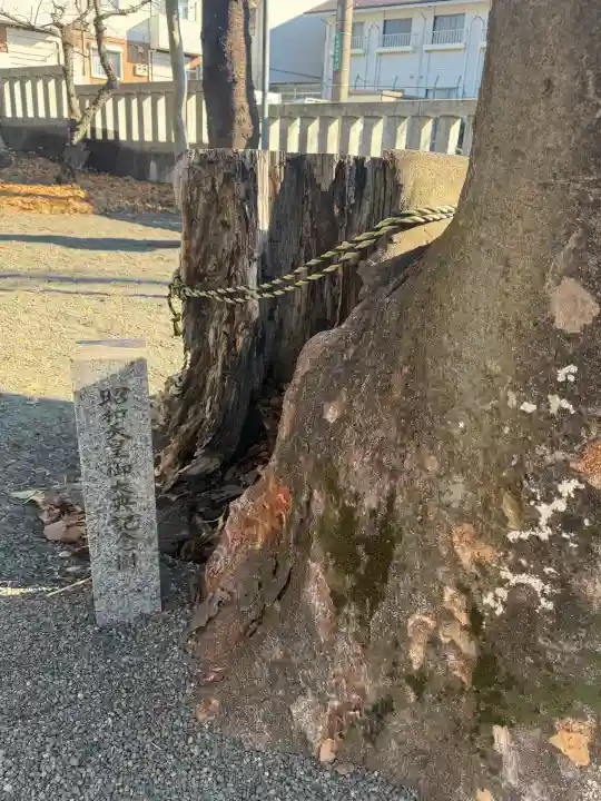 森野住吉神社の{uncategorized: "未分類", other: "その他", undefined: "問題あり", building: "その他建物", grave: "お墓", sacred_gate: "鳥居", guardian: "狛犬", statue: "像", buddha: "仏像", history: "歴史", nature: "自然", garden: "庭園", animal: "動物", pagoda: "塔", temizu: "手水舎", mountain_gate: "山門・神門", sanctuary: "本殿・本堂", subordinate: "末社・摂社", art: "芸術", scenery: "景色", jizo: "地蔵", ema: "絵馬", goshuin: "御朱印", omikuji: "おみくじ", items: "授与品その他", amulet: "お守り", goshuincho: "御朱印帳", eats: "食事", festival: "お祭り", votive_dance: "神楽", shichigosan: "七五三参", wedding: "結婚式", experience: "体験その他", initially: "初詣", around: "周辺", anti_infection: "感染症対策"}