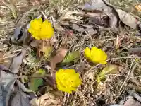 三春大神宮(福島県)