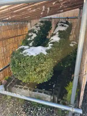 光兎神社(新潟県)