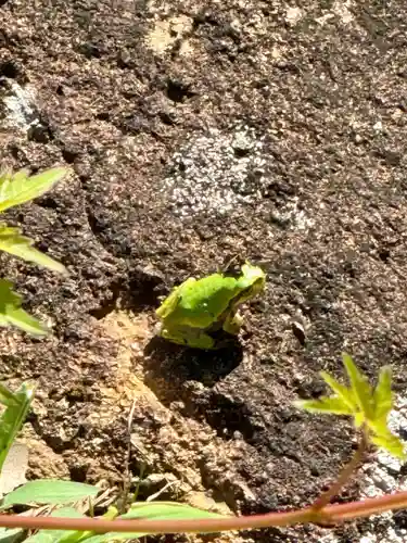 顕海寺(福井県)