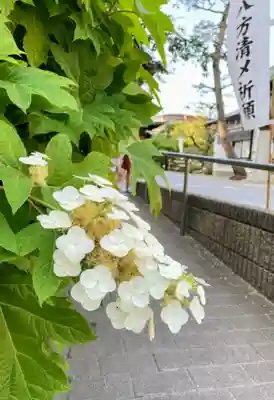 桜神宮のその他建物