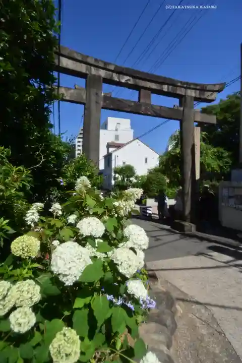 白山神社(東京都)