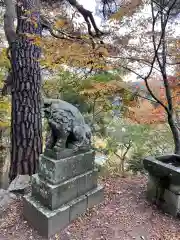 龍興山神社の狛犬