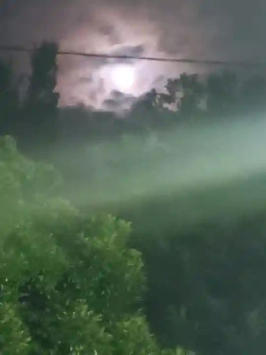 伊勢神社の自然