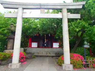 亀戸天神社の鳥居