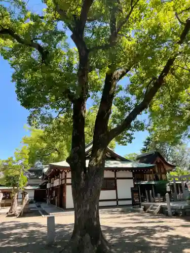 布忍神社の{uncategorized: "未分類", other: "その他", undefined: "問題あり", building: "その他建物", grave: "お墓", sacred_gate: "鳥居", guardian: "狛犬", statue: "像", buddha: "仏像", history: "歴史", nature: "自然", garden: "庭園", animal: "動物", pagoda: "塔", temizu: "手水舎", mountain_gate: "山門・神門", sanctuary: "本殿・本堂", subordinate: "末社・摂社", art: "芸術", scenery: "景色", jizo: "地蔵", ema: "絵馬", goshuin: "御朱印", omikuji: "おみくじ", items: "授与品その他", amulet: "お守り", goshuincho: "御朱印帳", eats: "食事", festival: "お祭り", votive_dance: "神楽", shichigosan: "七五三参", wedding: "結婚式", experience: "体験その他", initially: "初詣", around: "周辺", anti_infection: "感染症対策"}