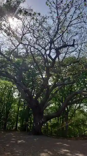相馬神社(北海道)