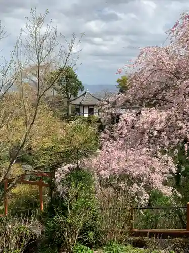 善峯寺の庭園