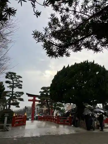 鶴岡八幡宮の庭園