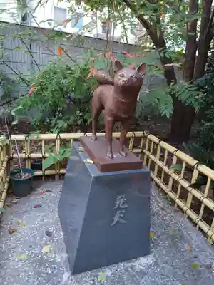 蔵前神社の狛犬