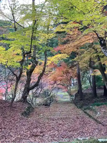 大洞院(静岡県)