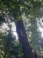 高岡神社(岡山県)