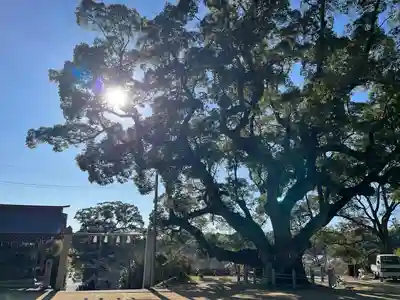 志筑神社(兵庫県)