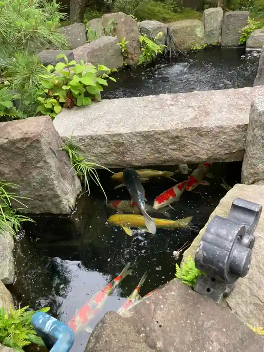 妙高院(神奈川県)