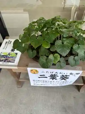 静岡浅間神社のその他建物