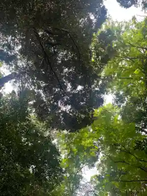 駒木諏訪神社(千葉県)