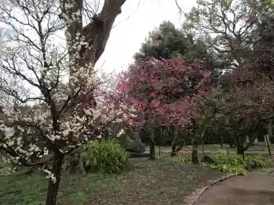 北野天満宮(京都府)