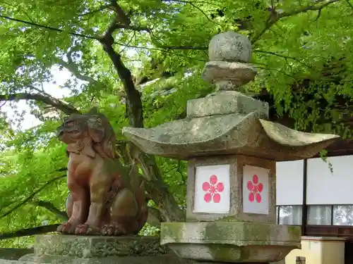 御袖天満宮の狛犬