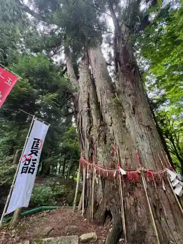 磐椅神社(福島県)