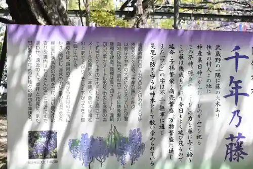 國領神社のその他建物