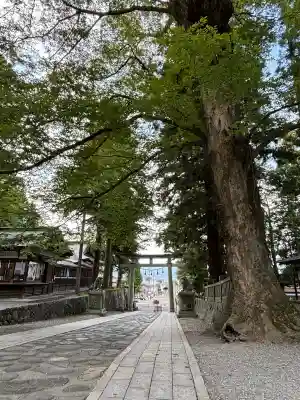 諏訪大社下社春宮(長野県)