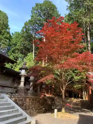 瀧樹神社の建物その他