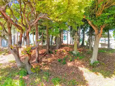 神福神社の自然