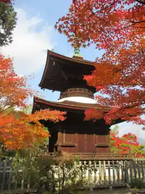 常寂光寺(京都府)