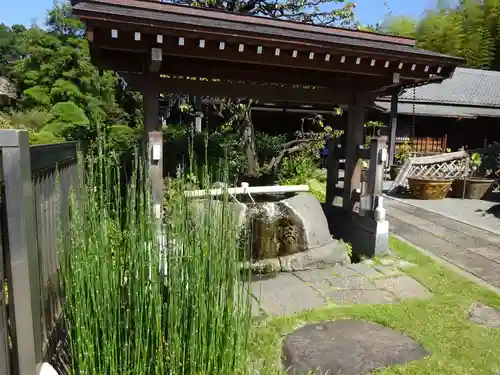 妙蓮寺の手水舎