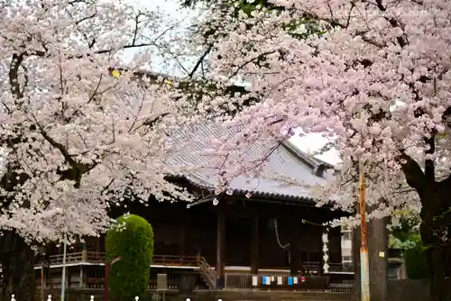 寛永寺(根本中堂)の本殿・本堂