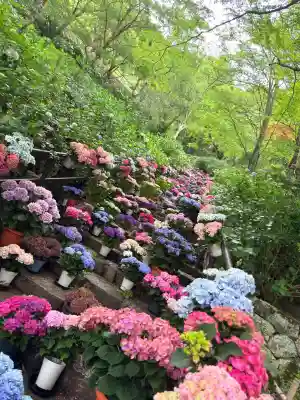 長谷寺(奈良県)