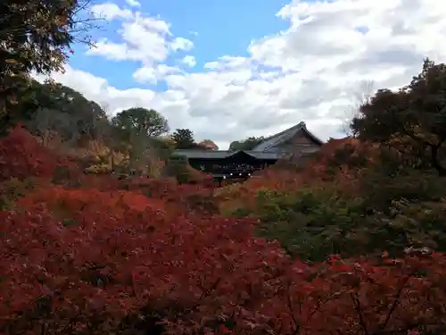 東福禅寺（東福寺）の景色