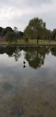 高須香取神社(埼玉県)