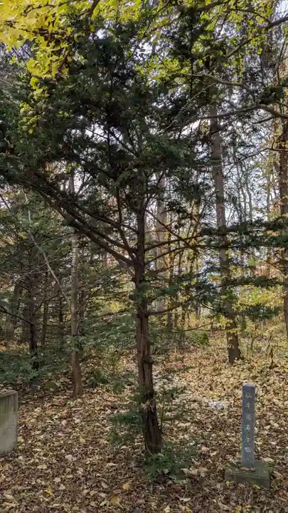 興国神社の自然