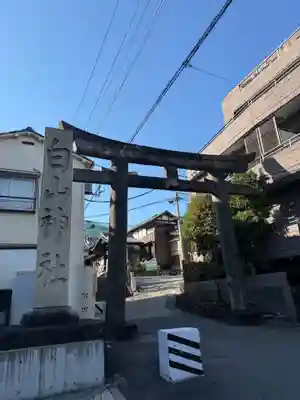 白山神社(東京都)