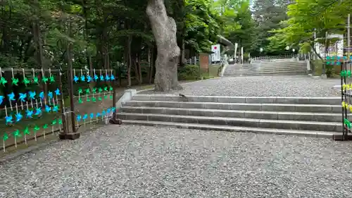 上川神社の庭園